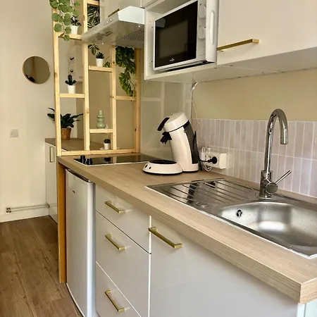 Hypercentre - Le Vieux Marche Apartment *