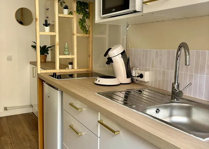 Hypercentre - Le Vieux Marche Apartment *